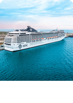 Cruise